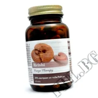 Reishi gomba bevitel