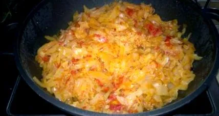 Friss káposzta friss