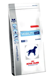 mobility mobility