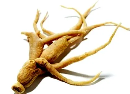 fáradtság