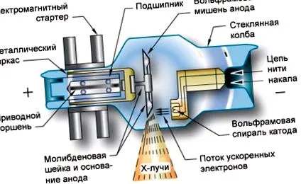 emberi test elektromágneses hullámok