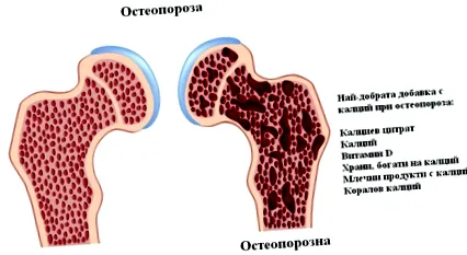 területei területei