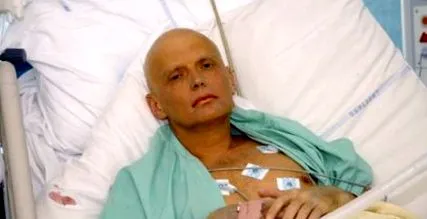 litvinyenko litvinyenko