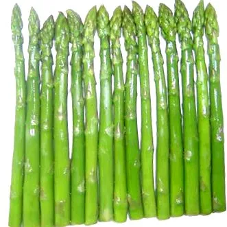 aspargus aspargus