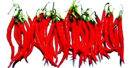 paprika kivonattal