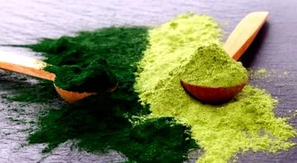 hasonlóságok spirulina