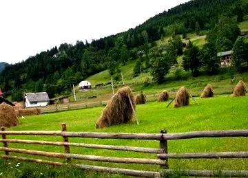 bántak recept