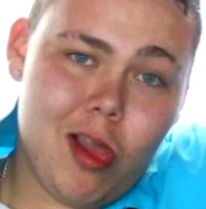 kövér tehénnek