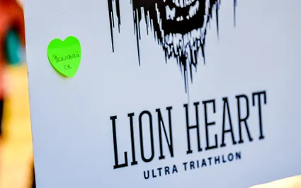 lion lion