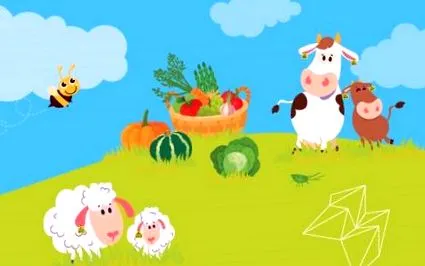 terület