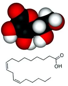 f-vitamin f-vitamin