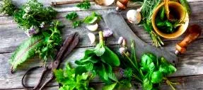 ayurveda ayurveda