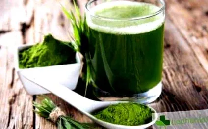 algák spirulina