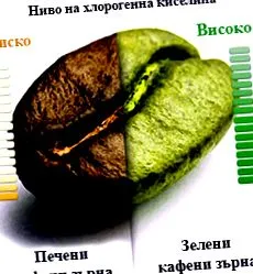 zöld kávé kávé