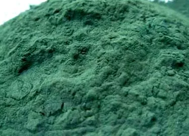 pirítósok spirulina