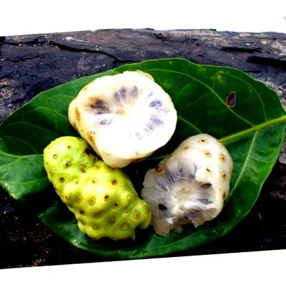 noni