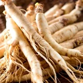 ginseng közvetlenül