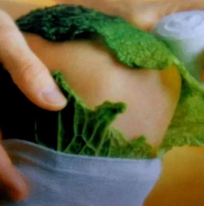 recept recept