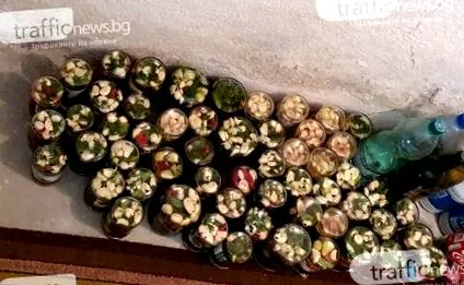 télállóság túlsúly