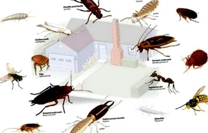 recept
