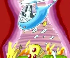 reflux