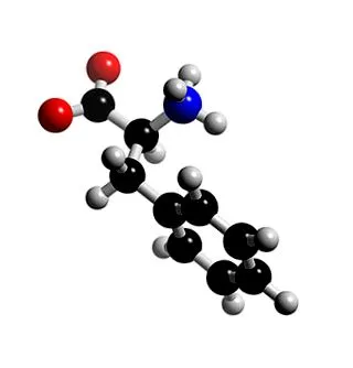 fenilalanin fenilalanin