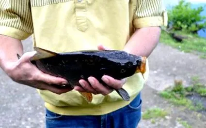 ünnepnapokon