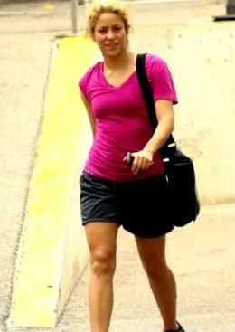 shakira 2013