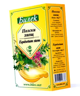 zsurlófű zsurlófű