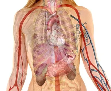 fájdalom intercostalis neuralgia