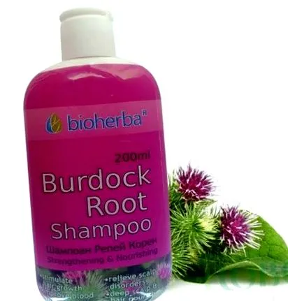 BIOHERBA BURNEY root
