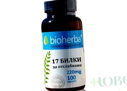 csalán mentalevél bioherba