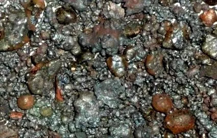 legfontosabb