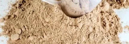 Protein Protein