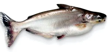 együnk