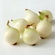 kolera