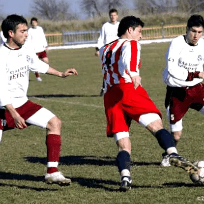 dimcho beljakovot
