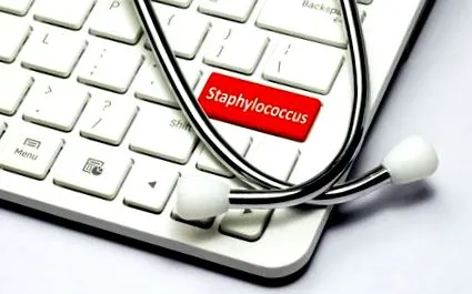 staphylococcus