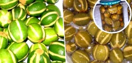 segíti feijoa