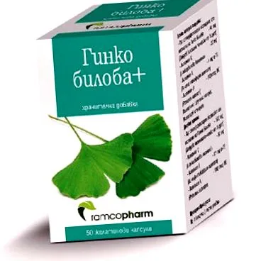 ginkgo ginkgo