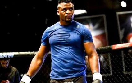 francis ngannou