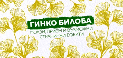 ginkgo