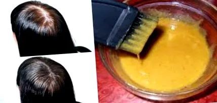 tesz mustár