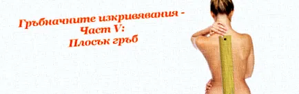lapos lyubomir