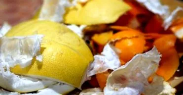 pomelo kalóriát tartalmaz