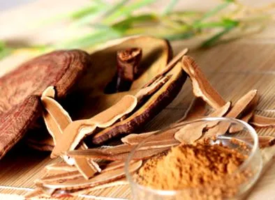 reishi tanulmányok