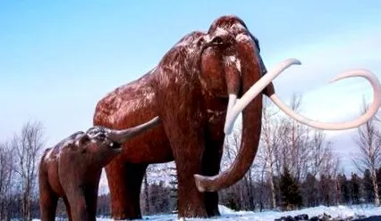 mamut vért
