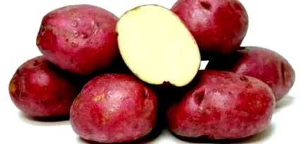 burgonyát