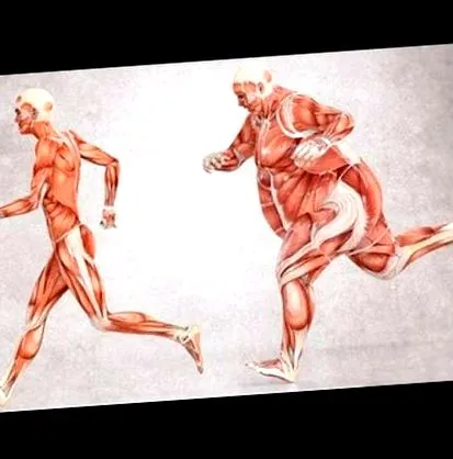 leptin fogyni-a