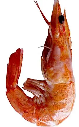 gyönyörű gyönyörű